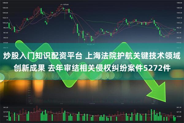 炒股入门知识配资平台 上海法院护航关键技术领域创新成果 去年审结相关侵权纠纷案件5272件