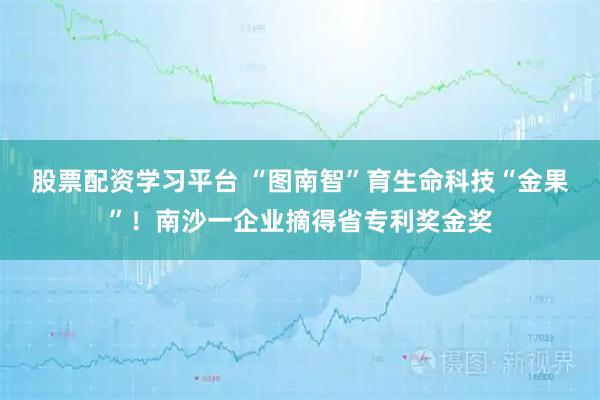 股票配资学习平台 “图南智”育生命科技“金果”！南沙一企业摘得省专利奖金奖